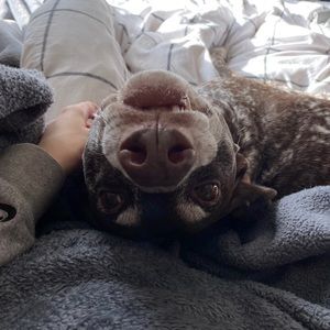 Meet your Posher, Maya